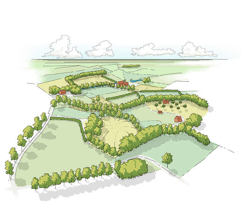 afbeelding binnen de regeling