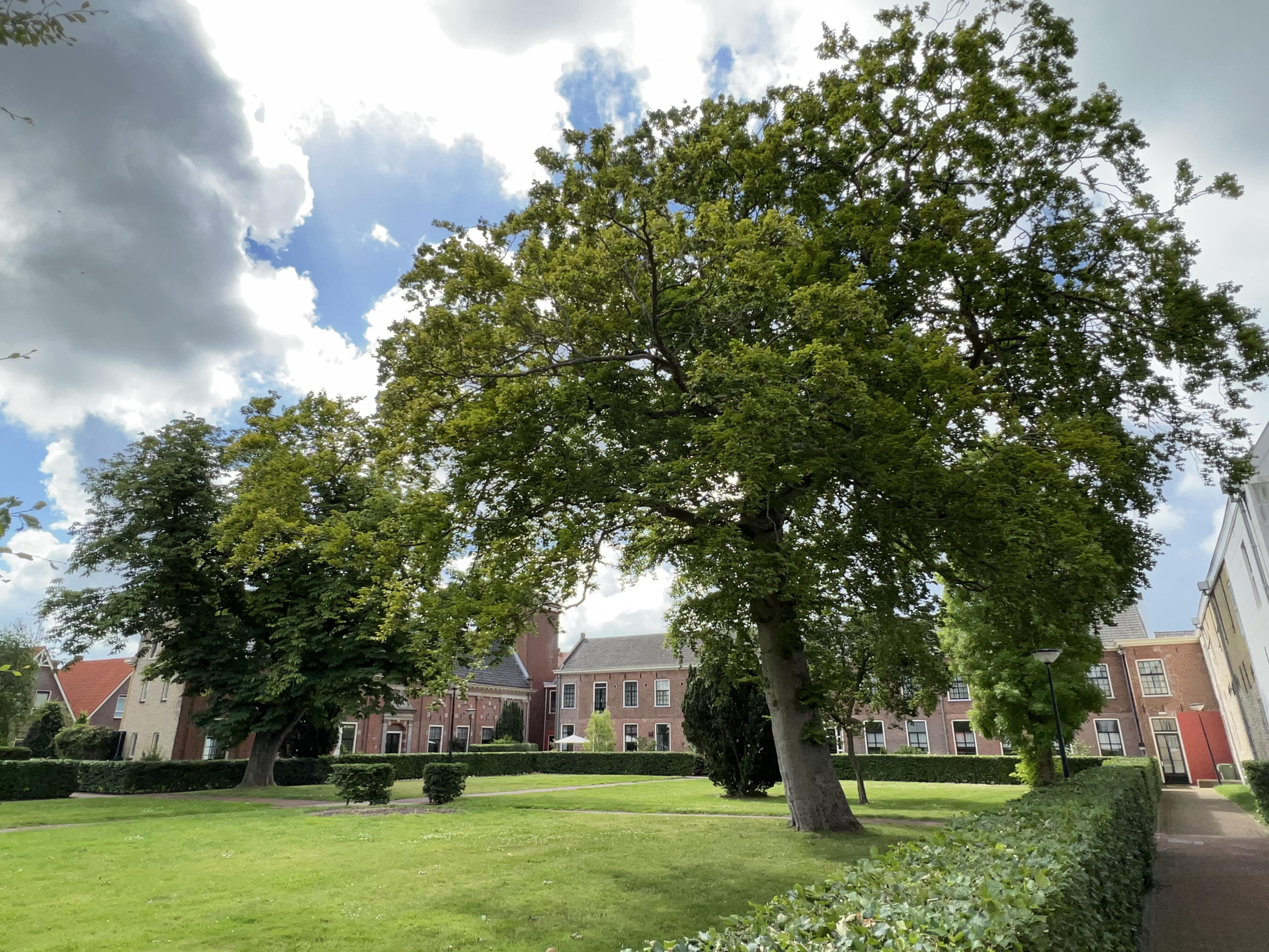 afbeelding binnen de regeling