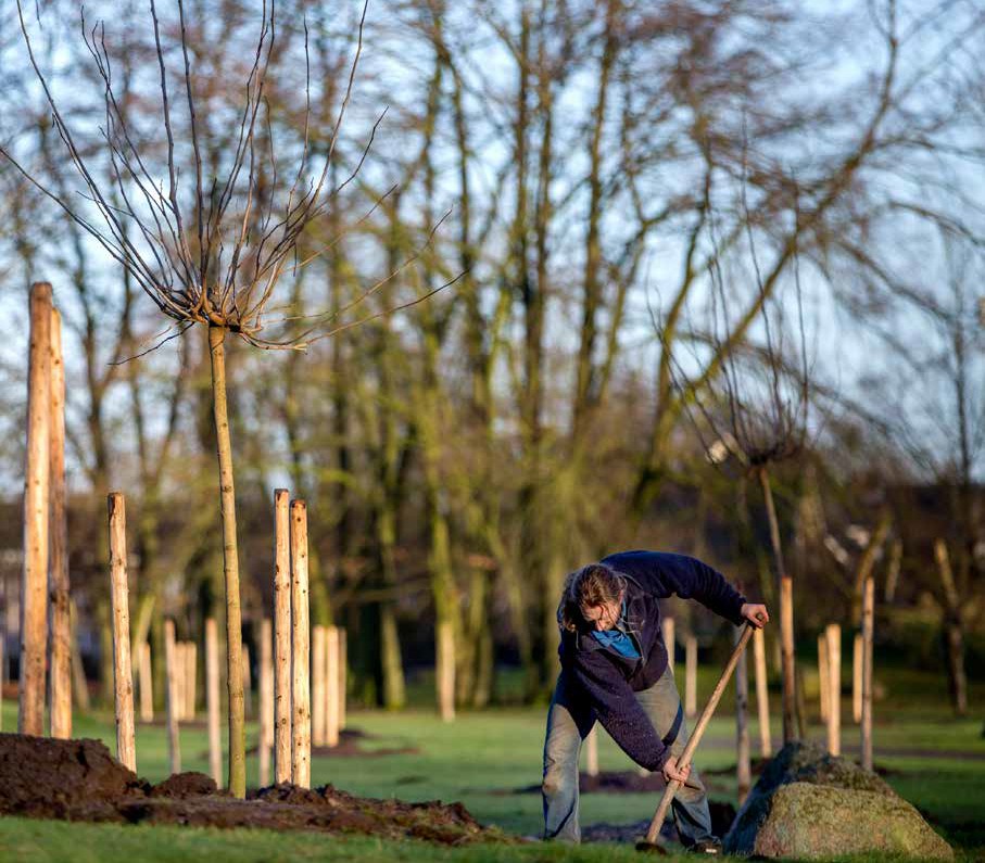 afbeelding binnen de regeling