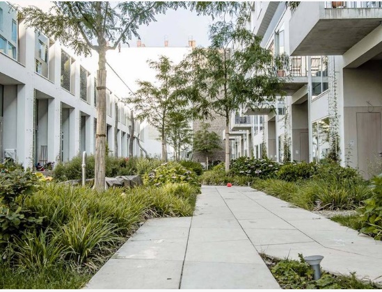 afbeelding binnen de regeling