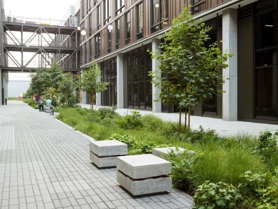 afbeelding binnen de regeling