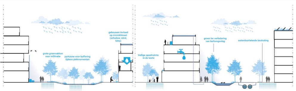 afbeelding binnen de regeling