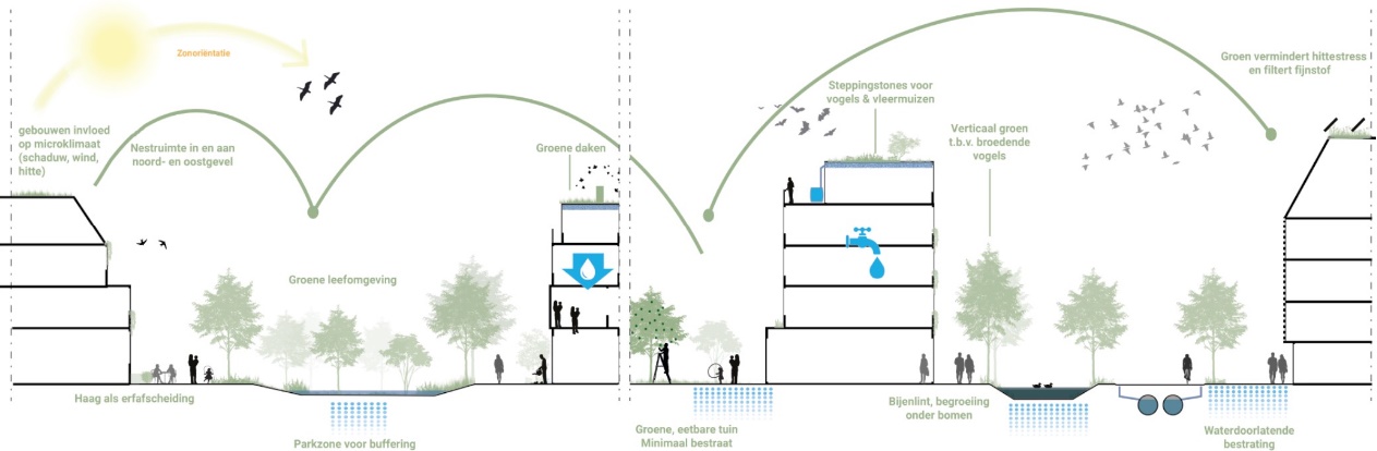 afbeelding binnen de regeling