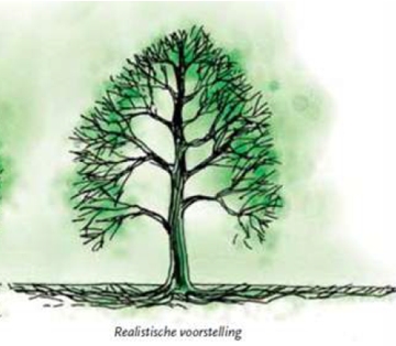 afbeelding binnen de regeling