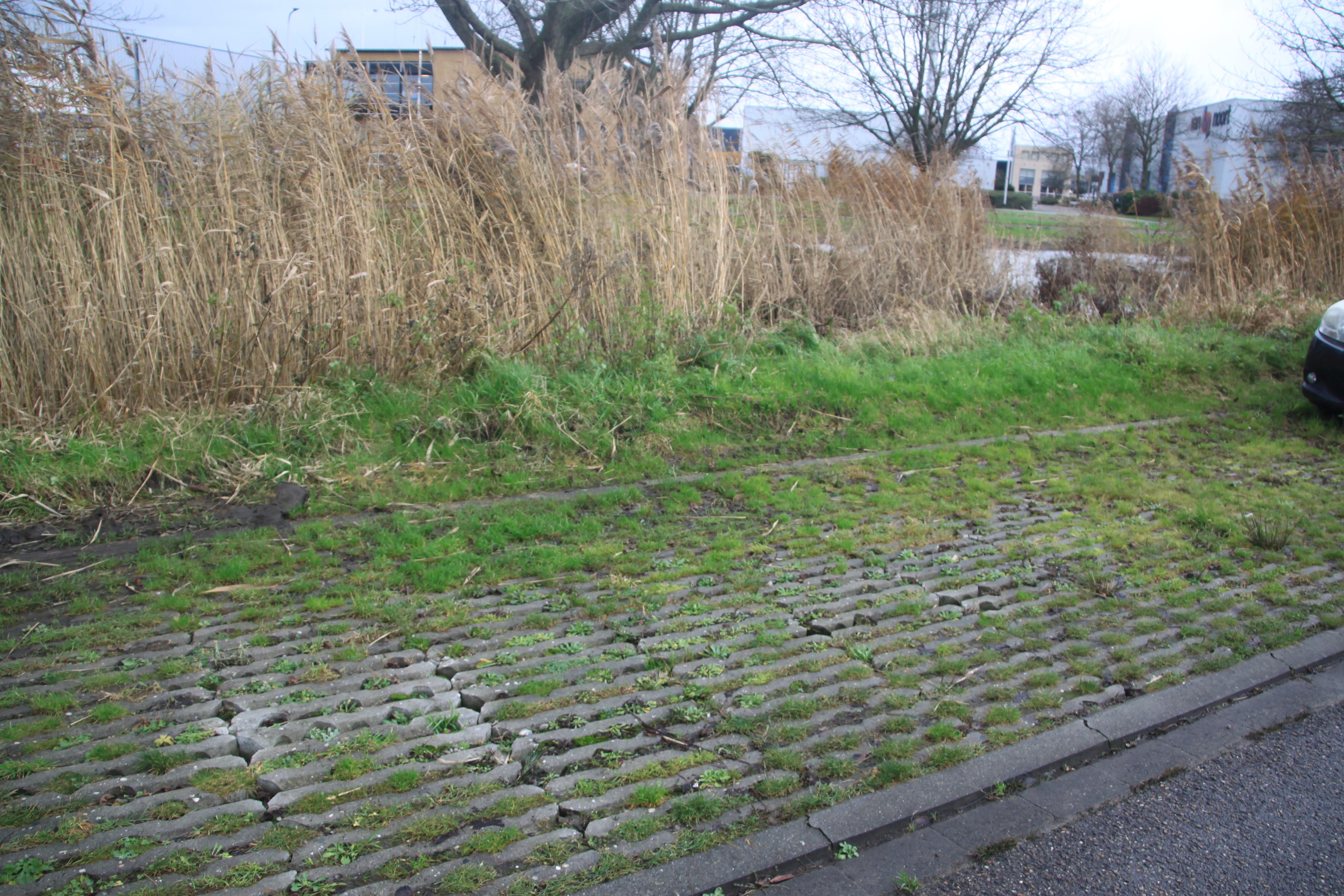 afbeelding binnen de regeling