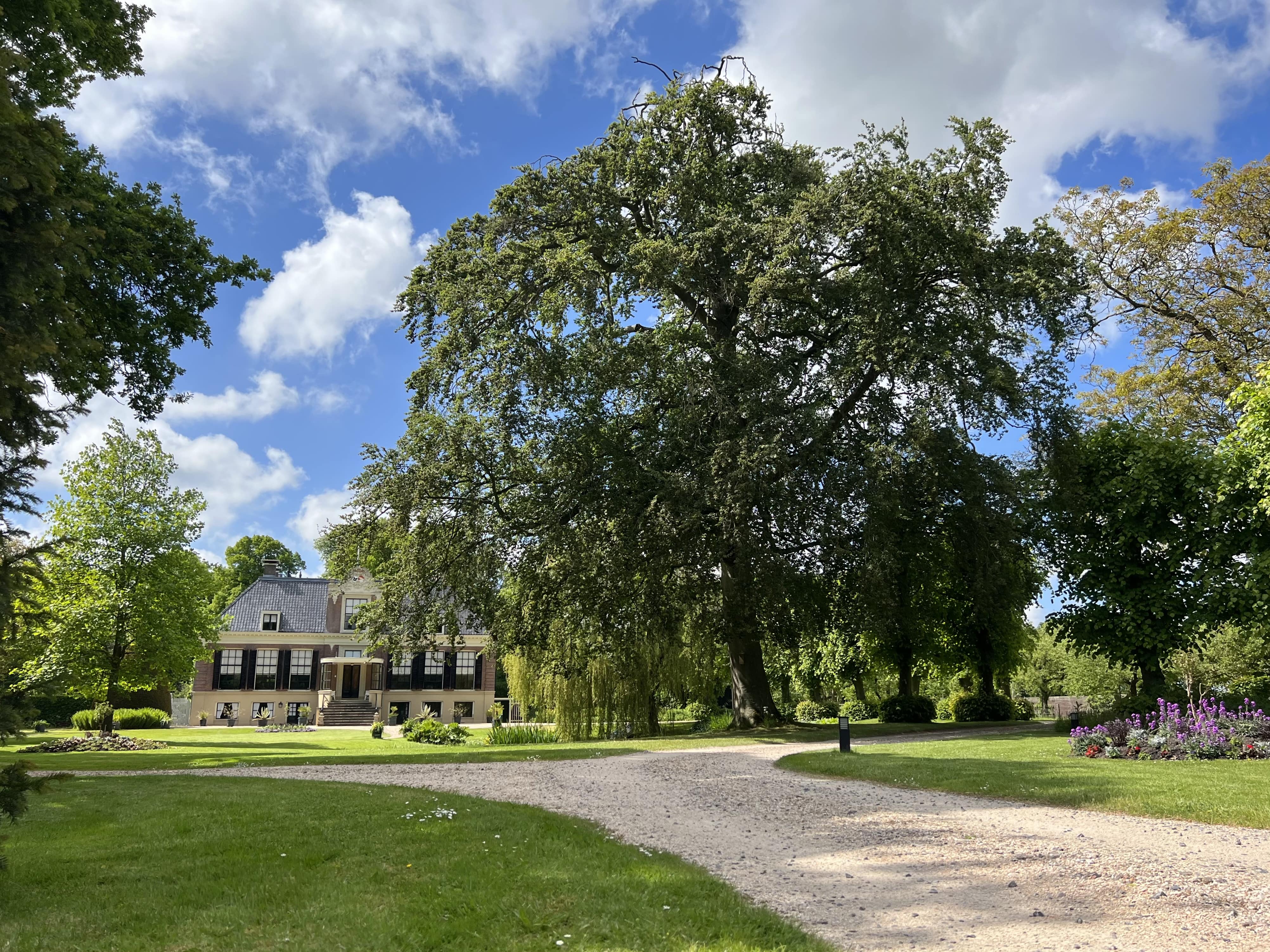 afbeelding binnen de regeling