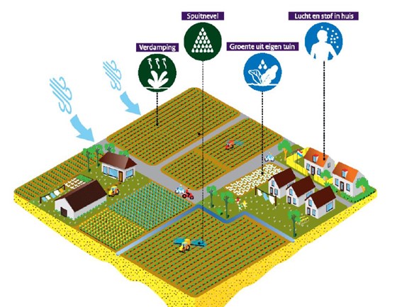 afbeelding binnen de regeling