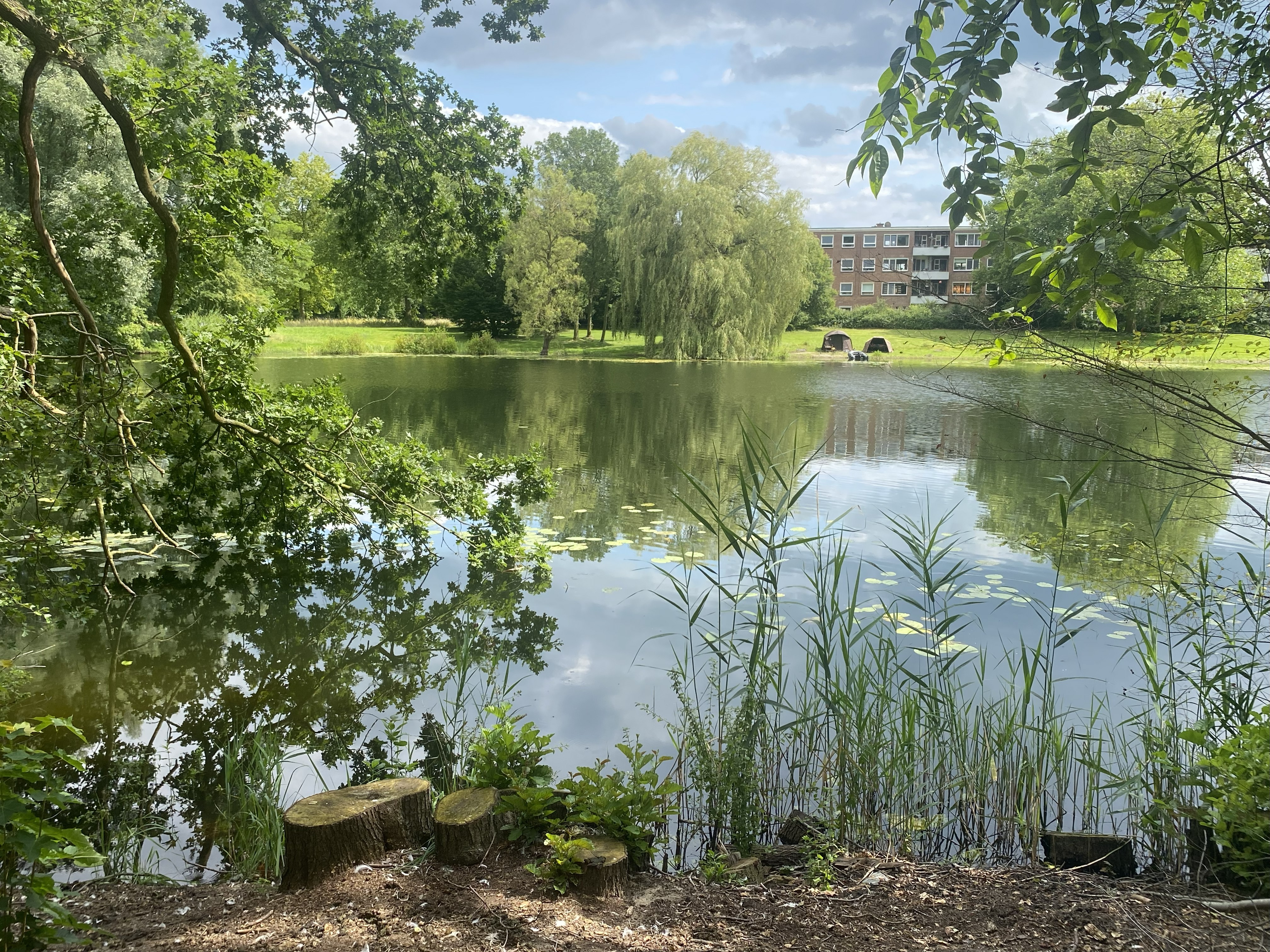 afbeelding binnen de regeling