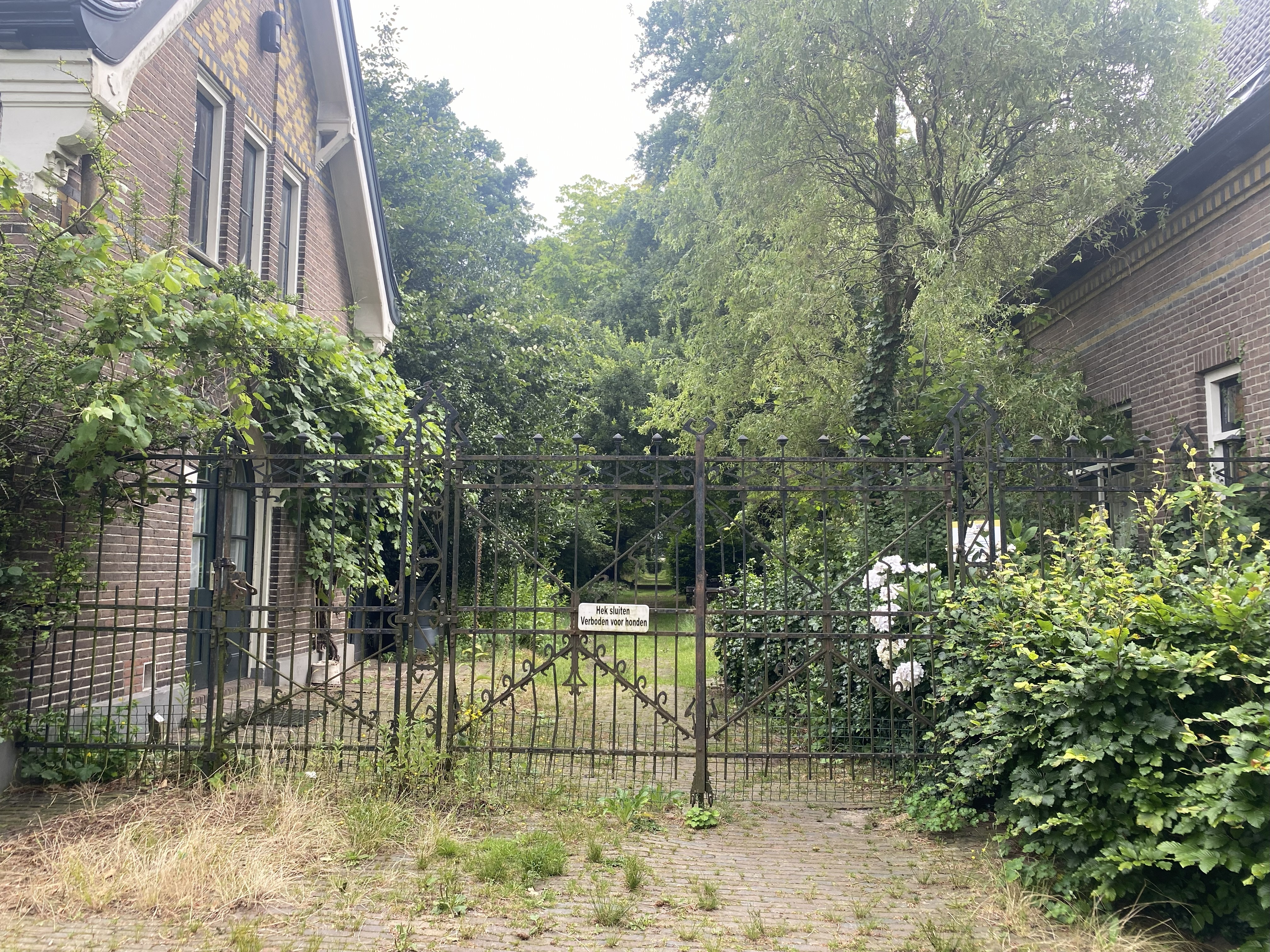 afbeelding binnen de regeling