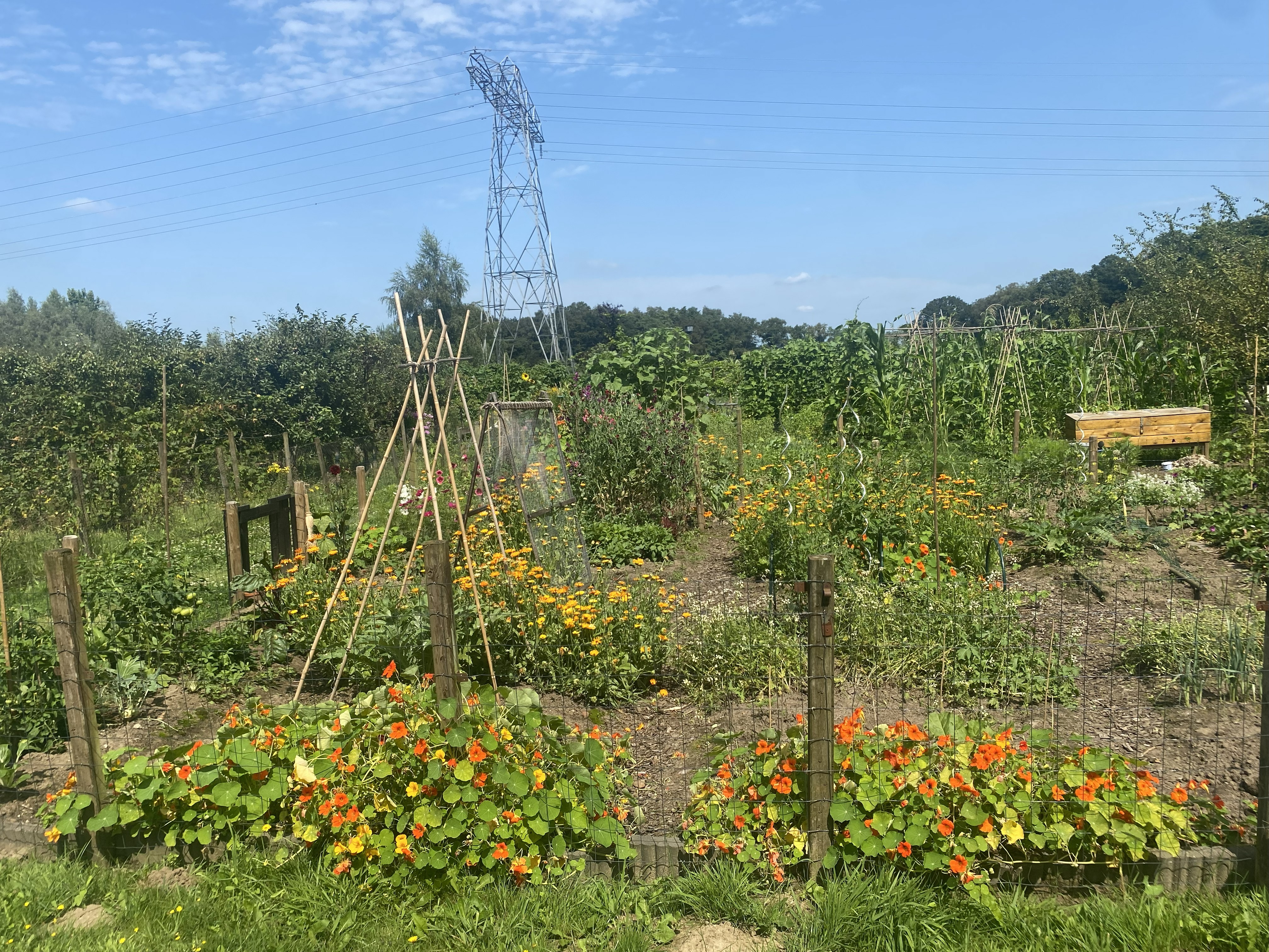 afbeelding binnen de regeling