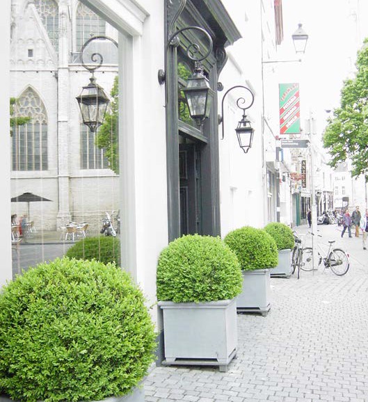 afbeelding binnen de regeling