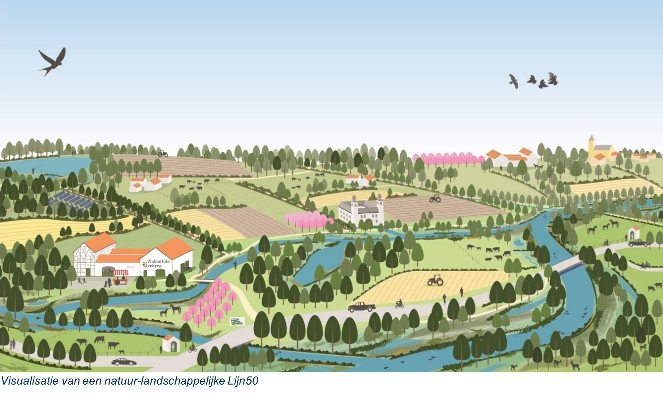 afbeelding binnen de regeling