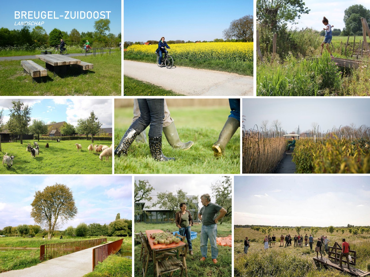 Afbeelding met tekst, gras, buiten, verschillend Automatisch gegenereerde beschrijving