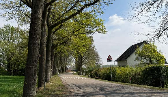 afbeelding binnen de regeling