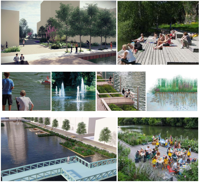 Afbeelding met boom, buitenshuis, meer, plant Door AI gegenereerde inhoud is mogelijk onjuist.