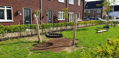 image22.jpeg