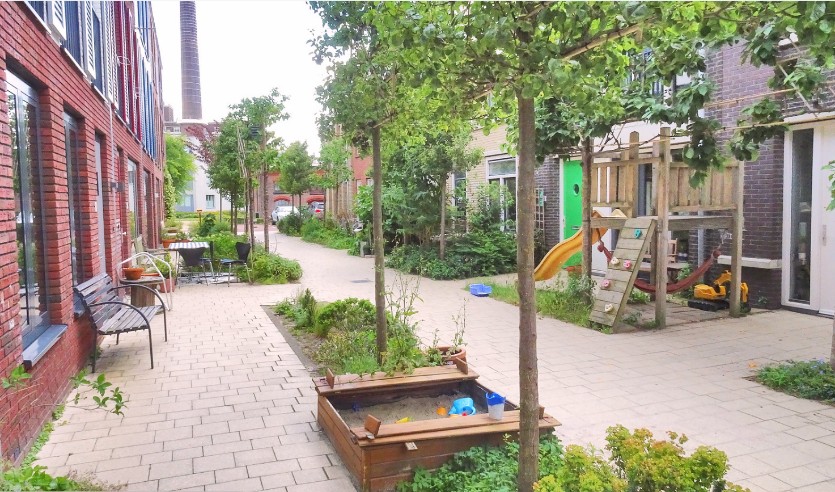 image34.jpg
