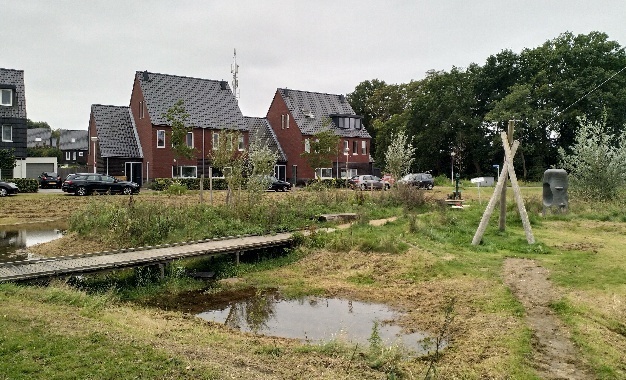 image8.jpeg