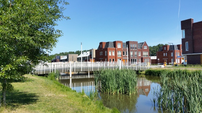 image9.jpeg