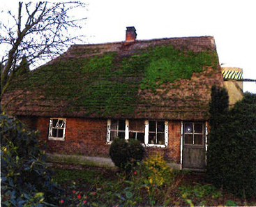 48-02.jpg