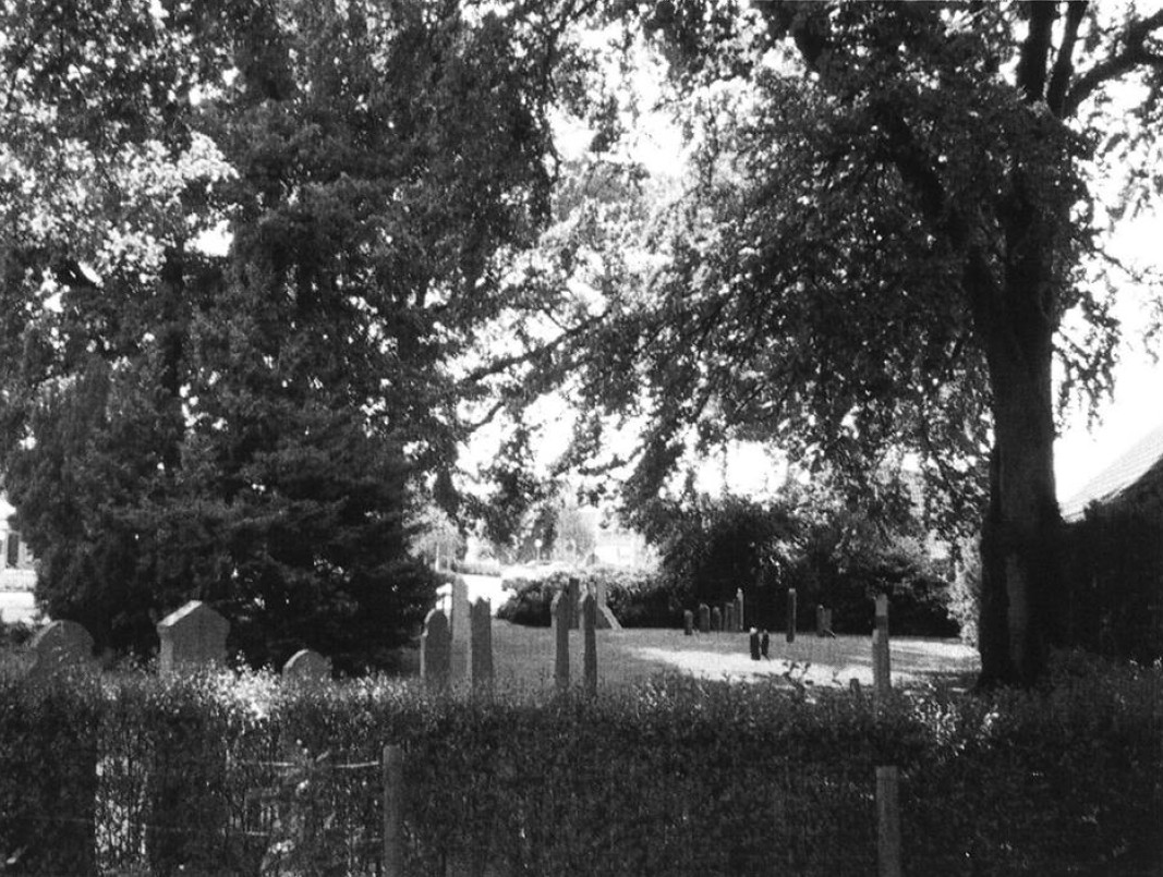 06-09.jpg