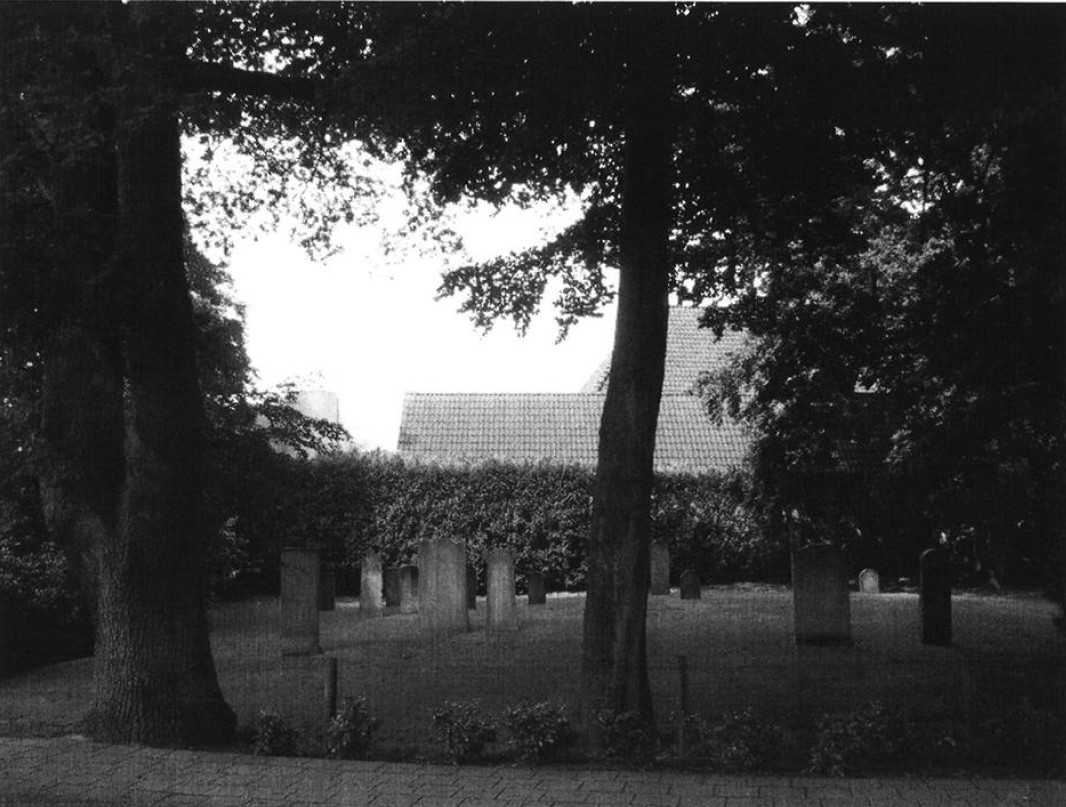 06-11.jpg