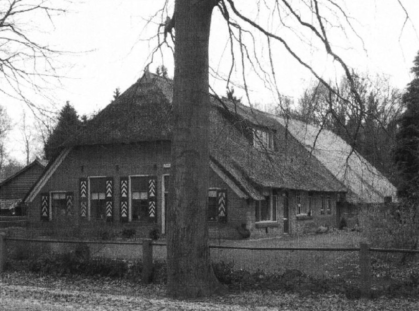 29-02.jpg