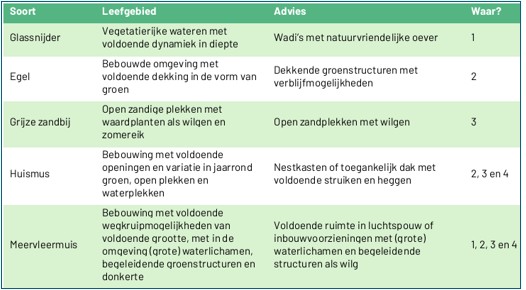 afbeelding binnen de regeling