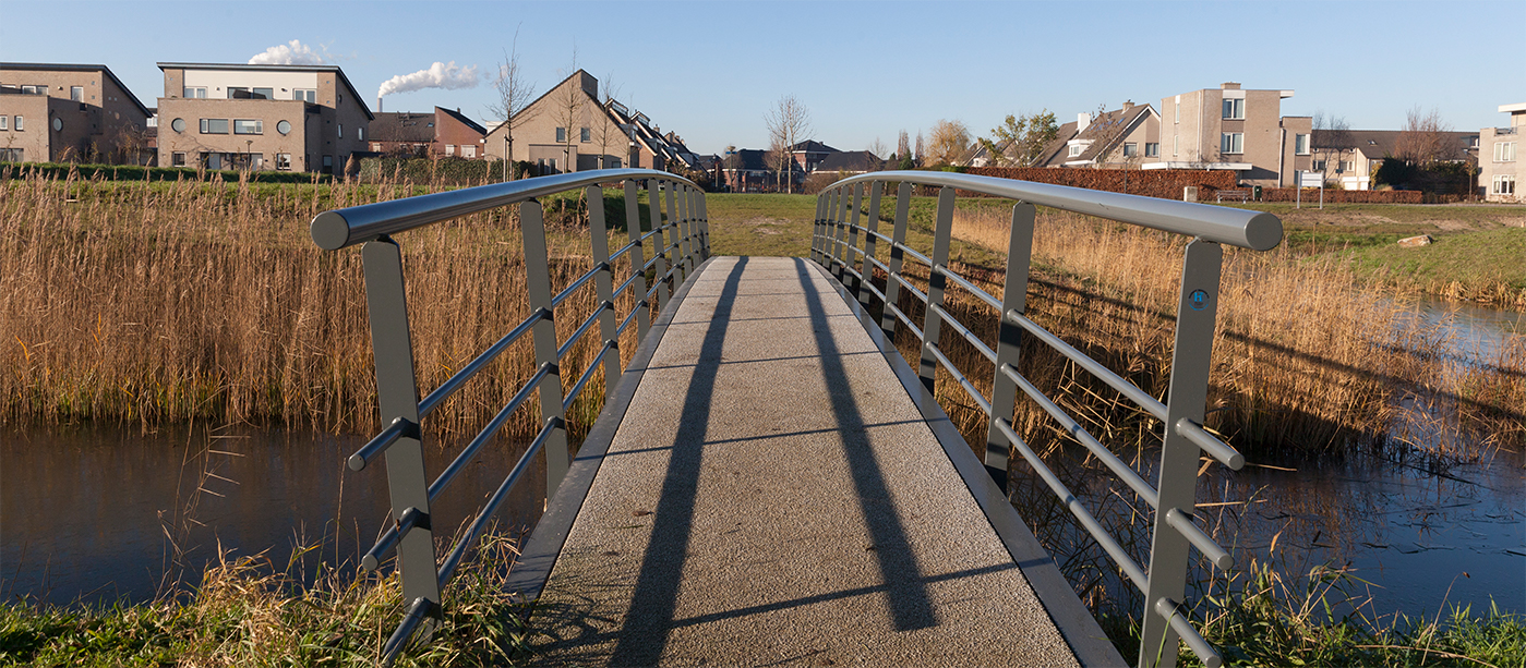 foto van een rustige woonwijk met groen