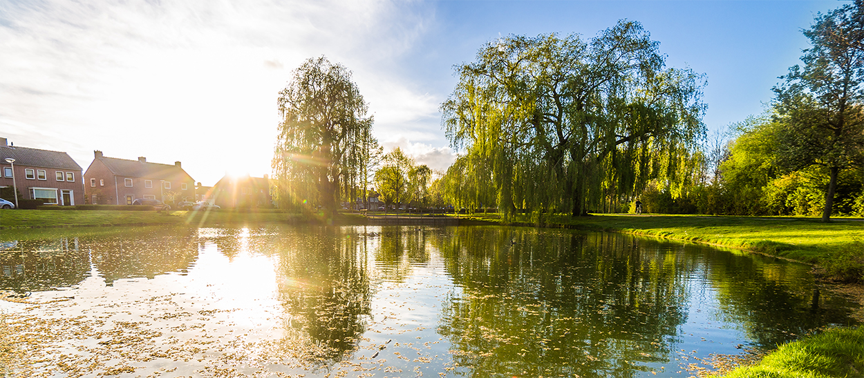 foto van vijver in groen parkje in Raamsdonksveer