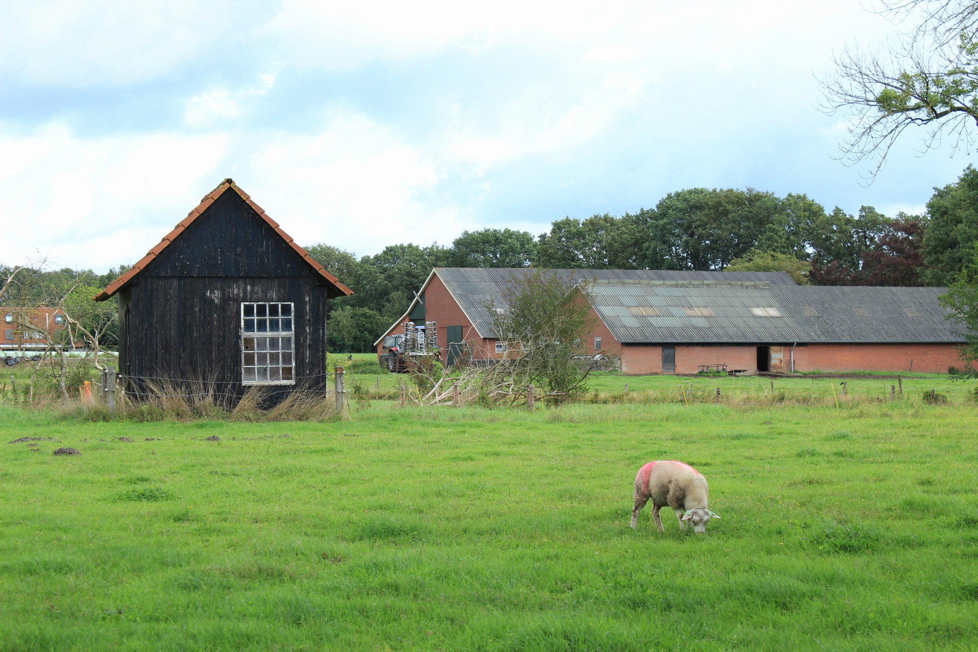 afbeelding binnen de regeling