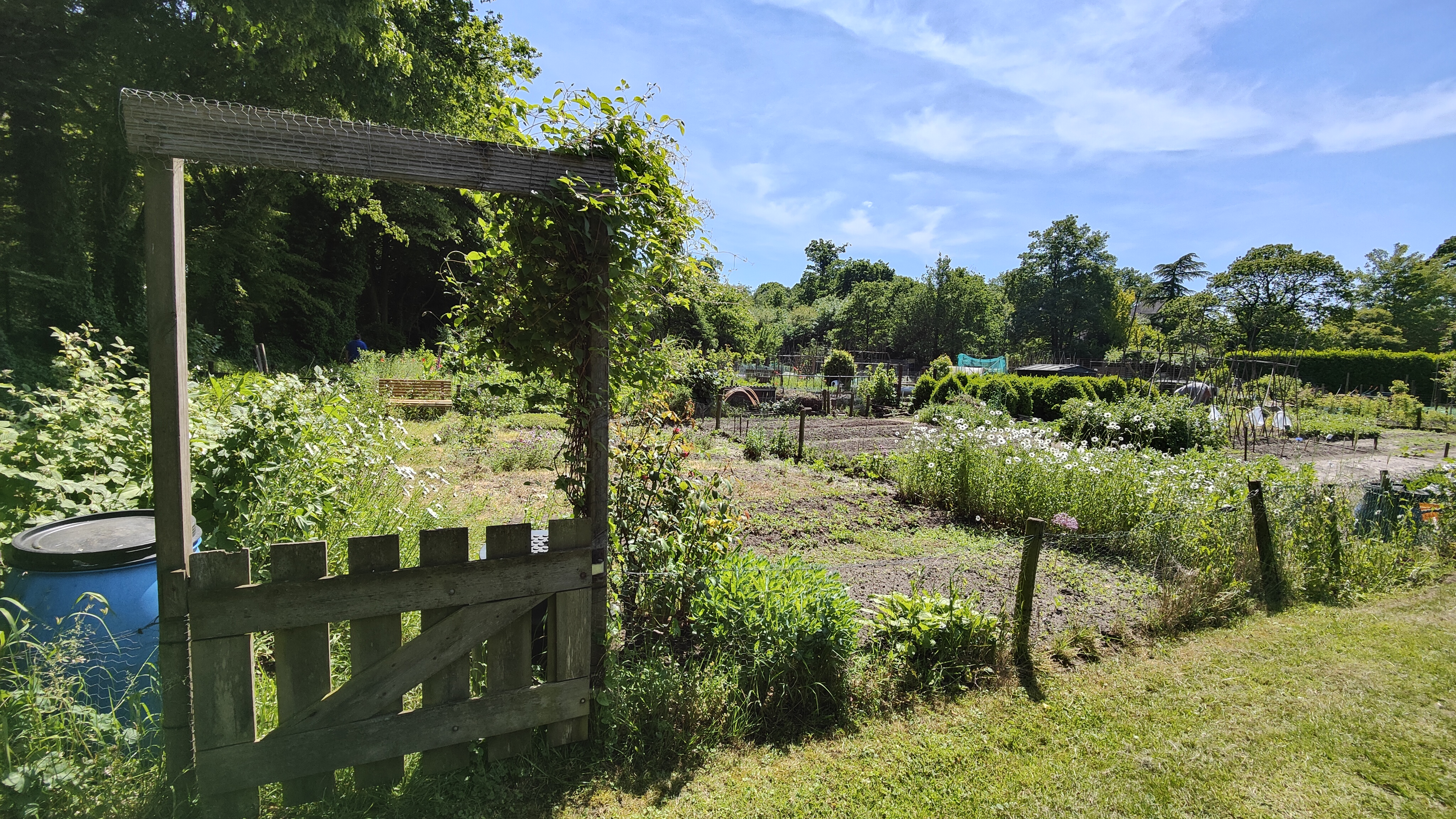 afbeelding binnen de regeling
