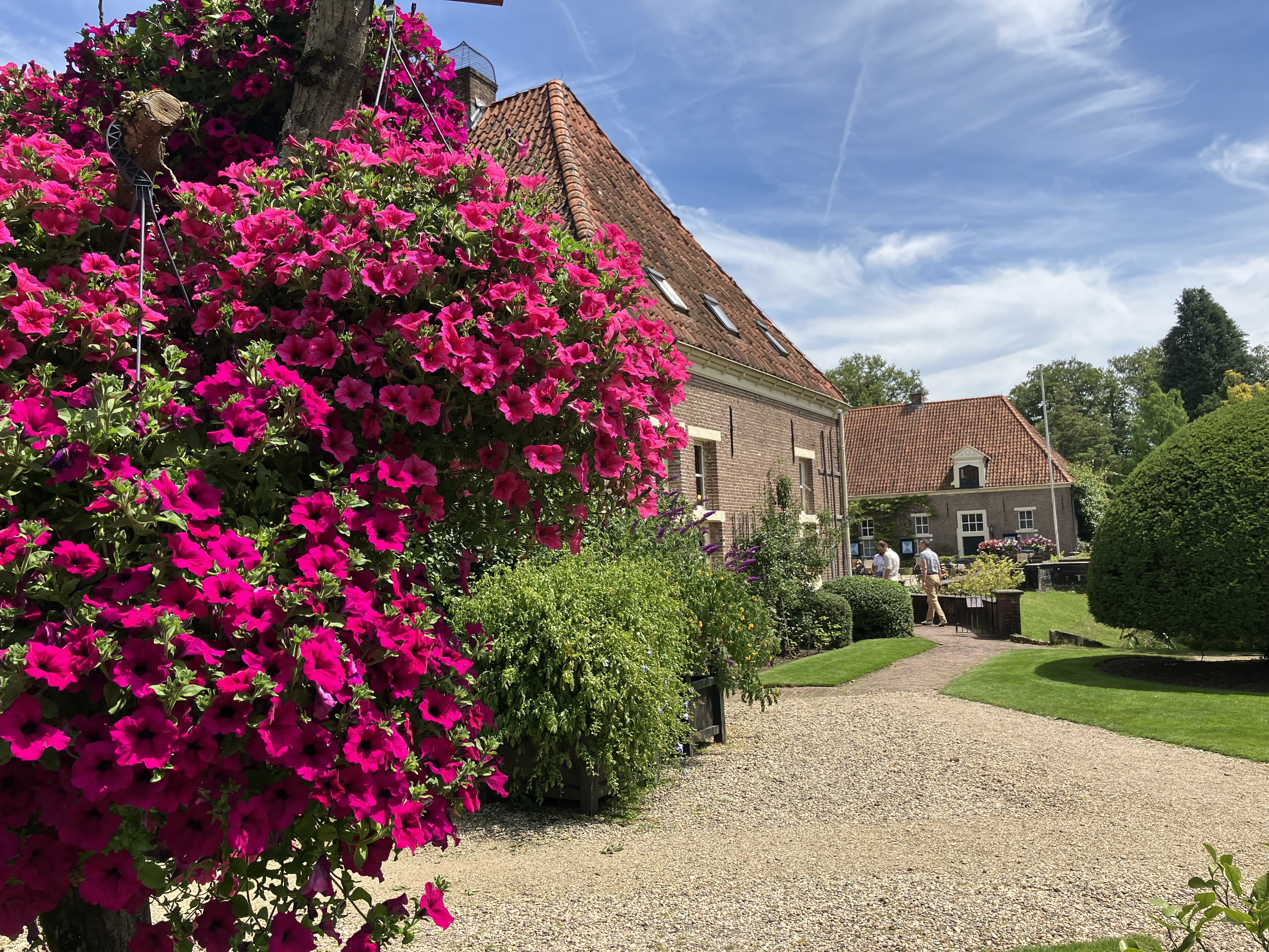 afbeelding binnen de regeling