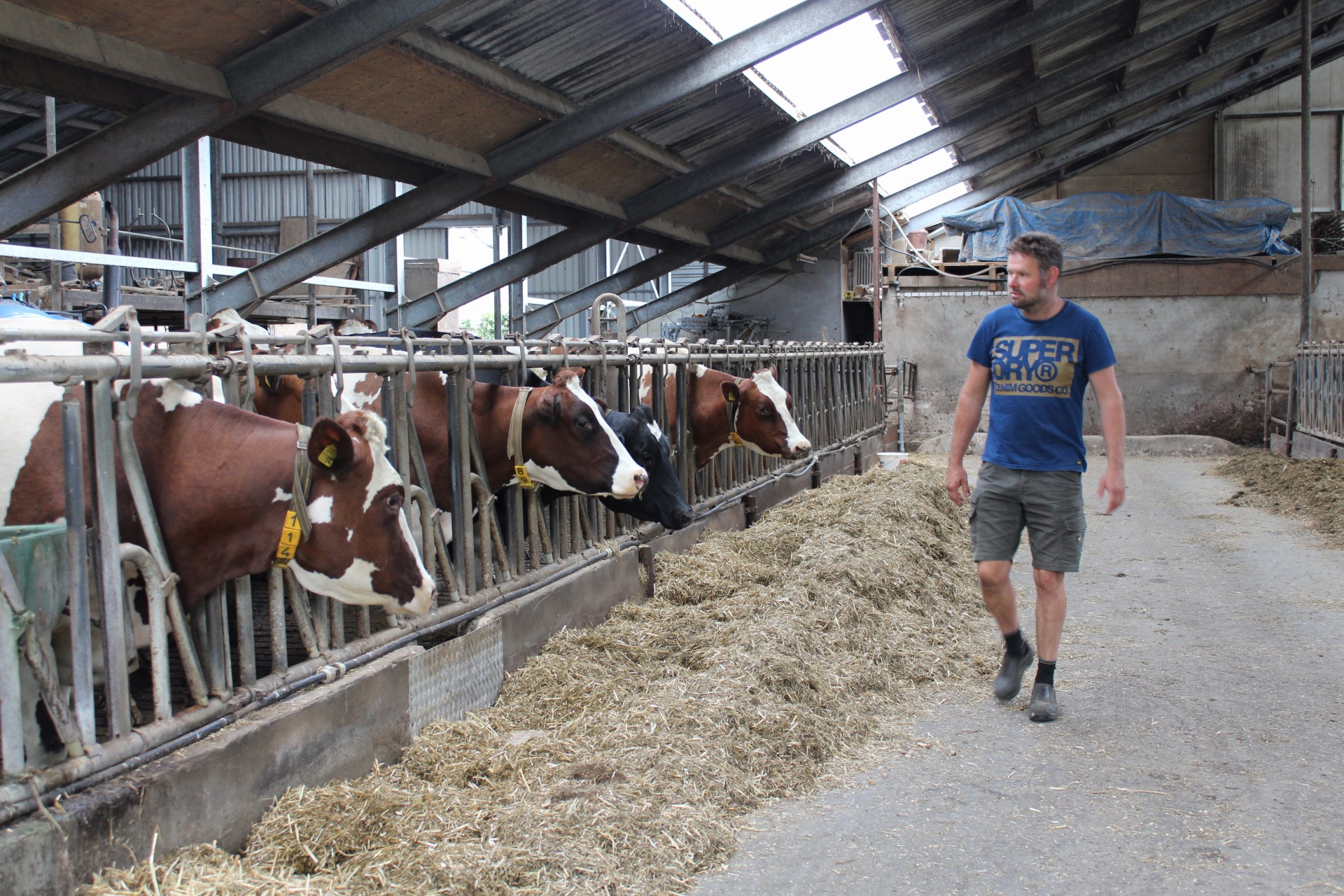 afbeelding binnen de regeling