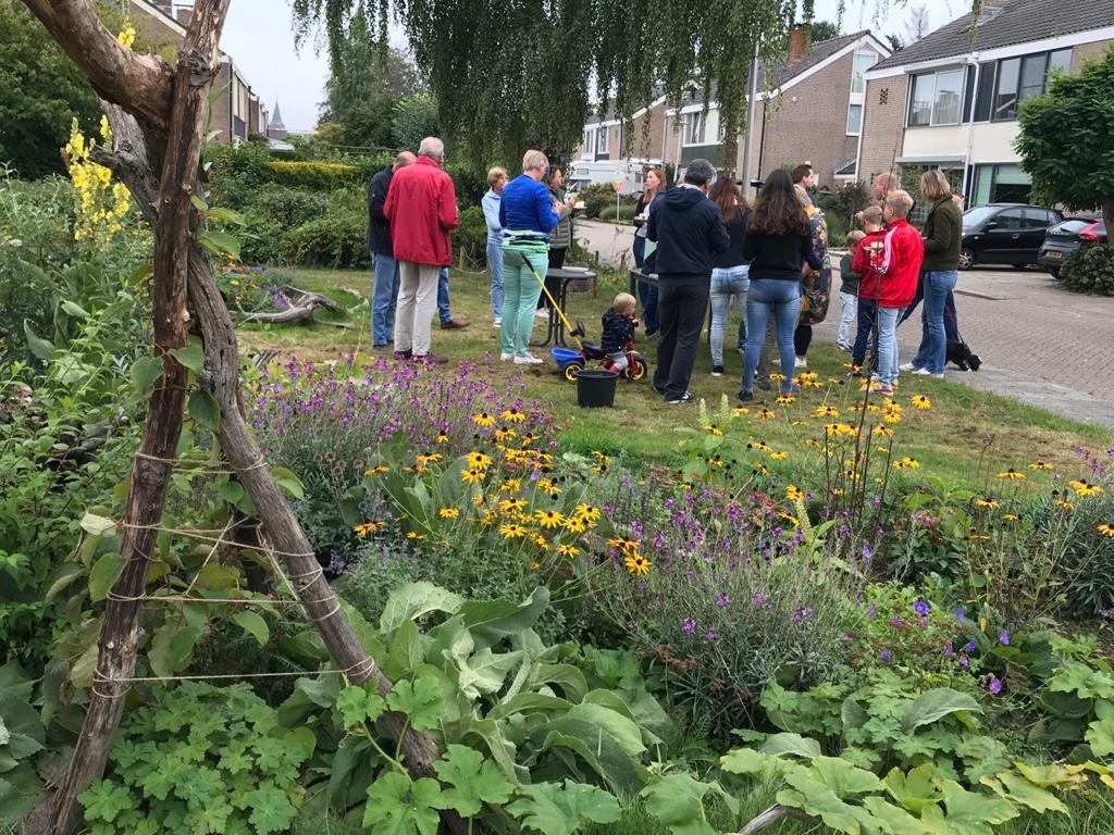 afbeelding binnen de regeling