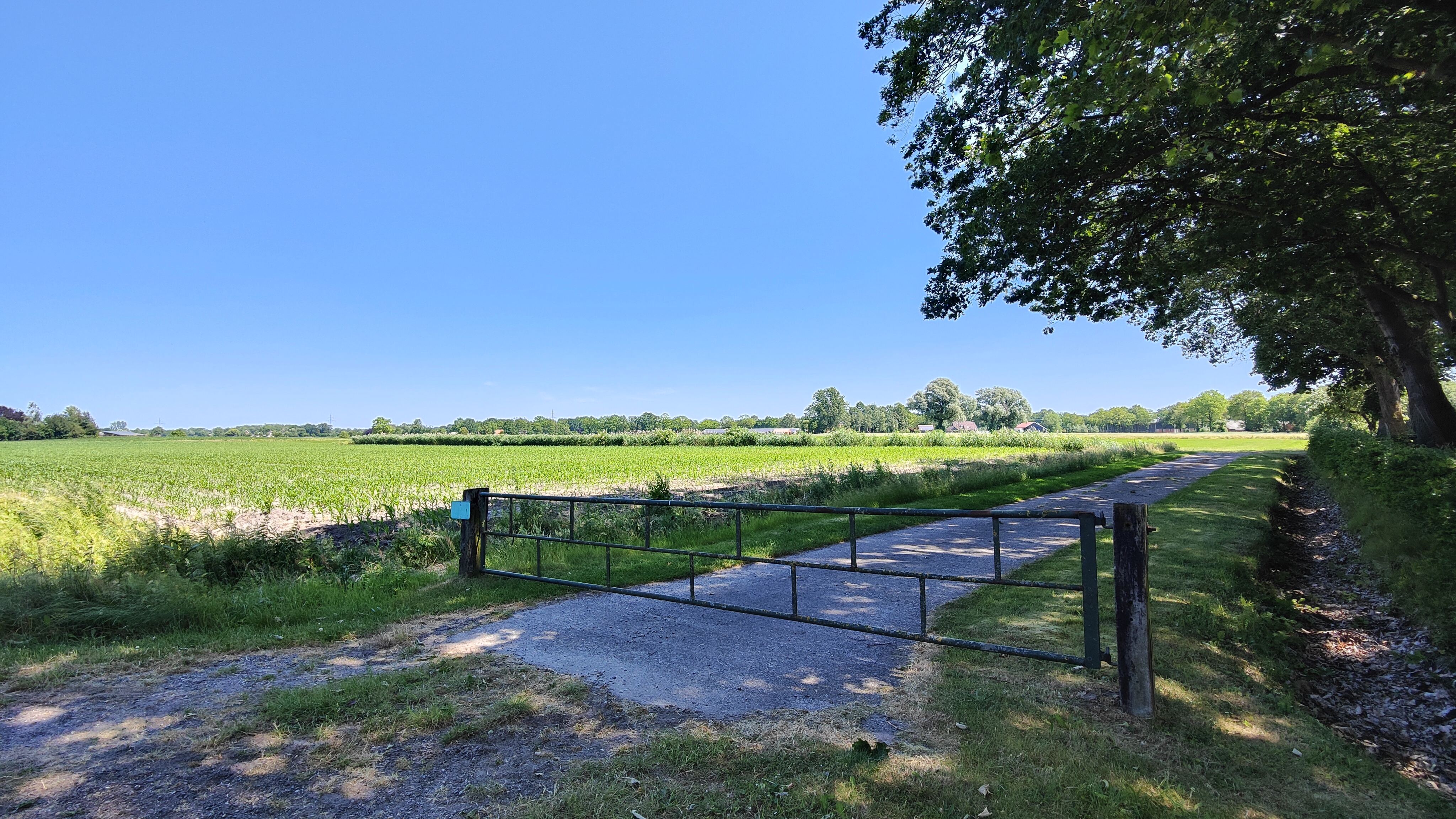 afbeelding binnen de regeling