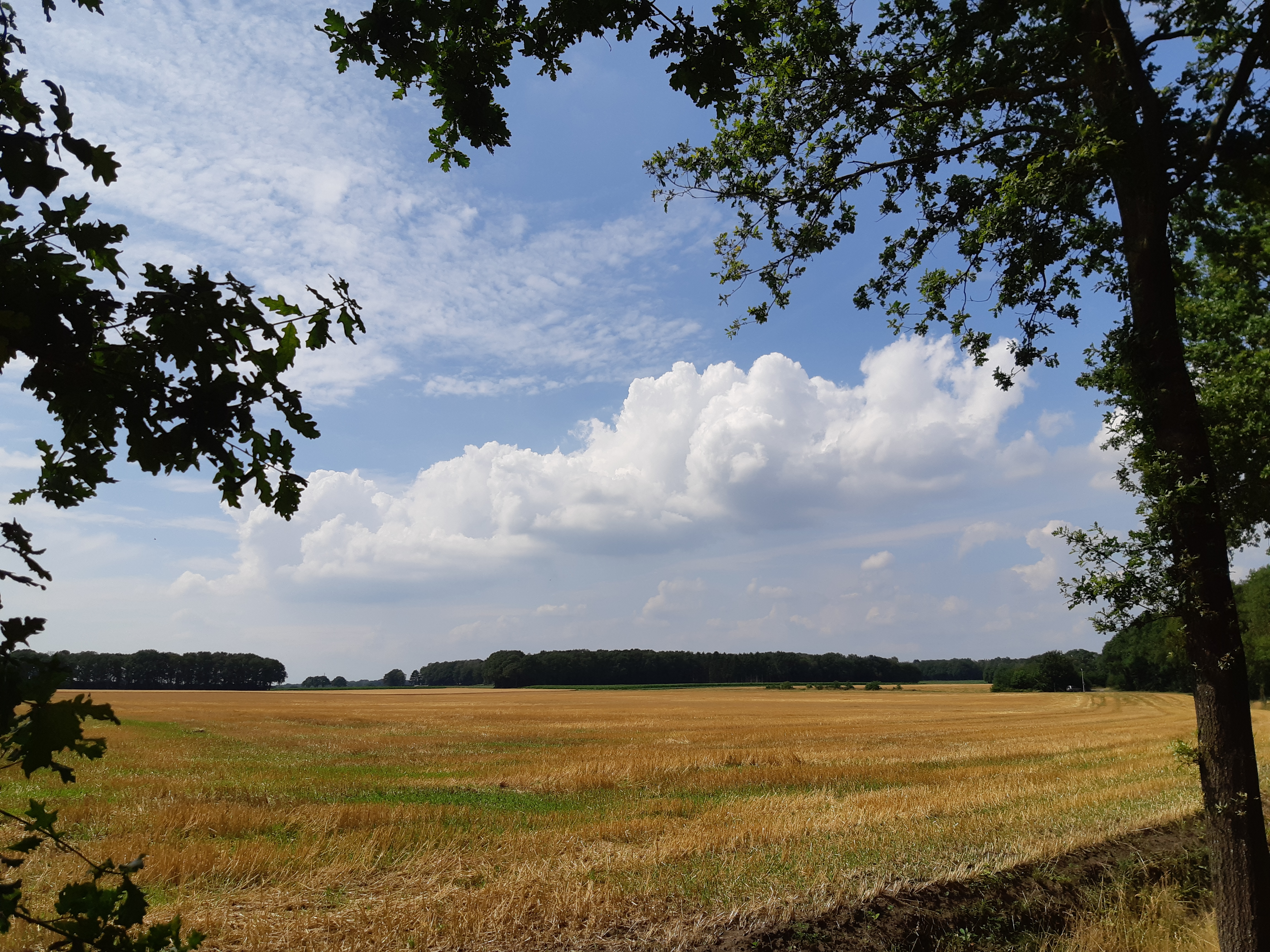 afbeelding binnen de regeling