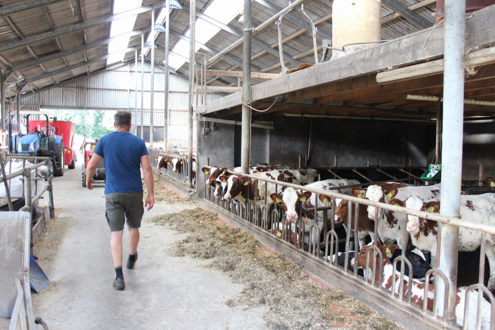 afbeelding binnen de regeling