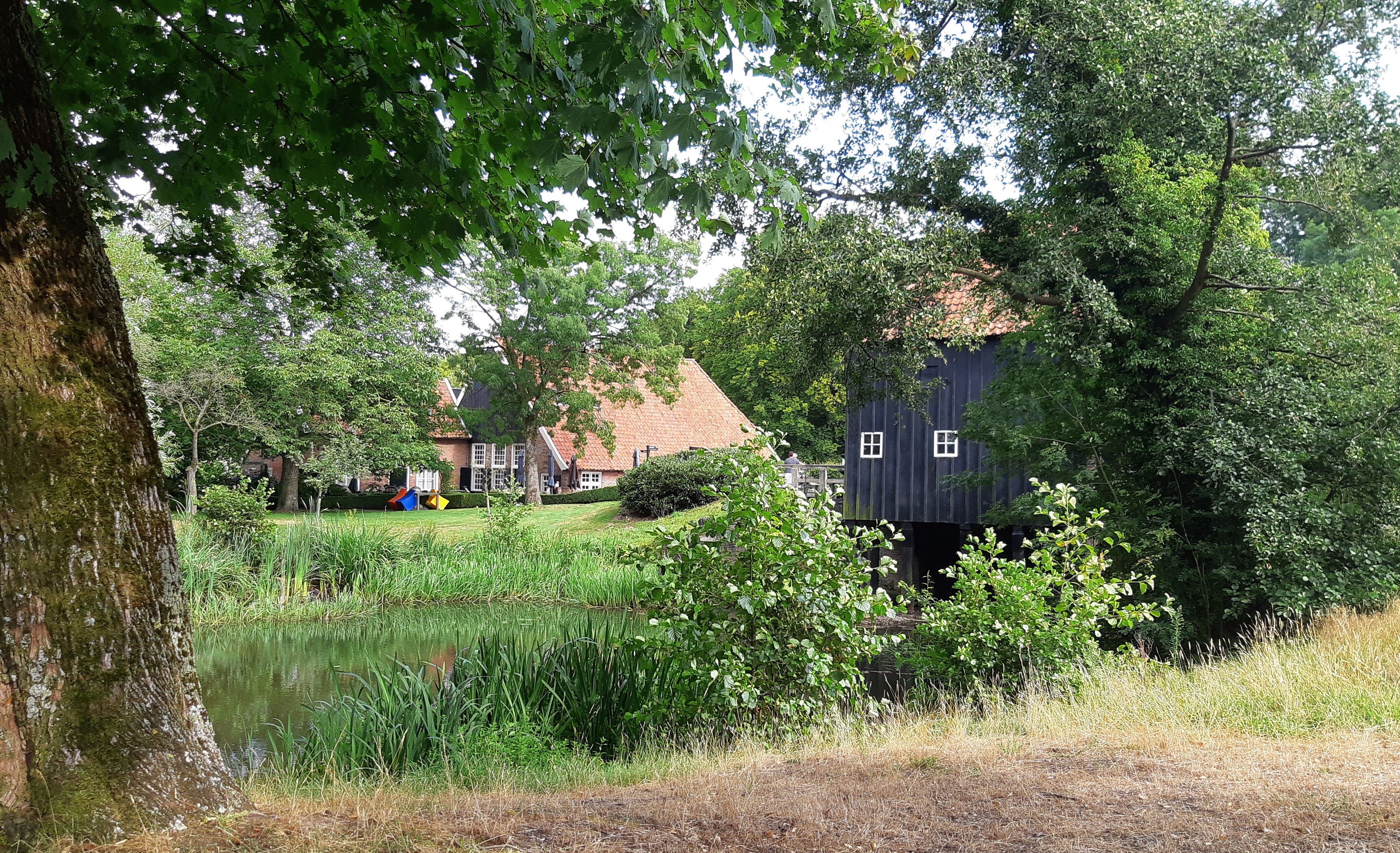 afbeelding binnen de regeling