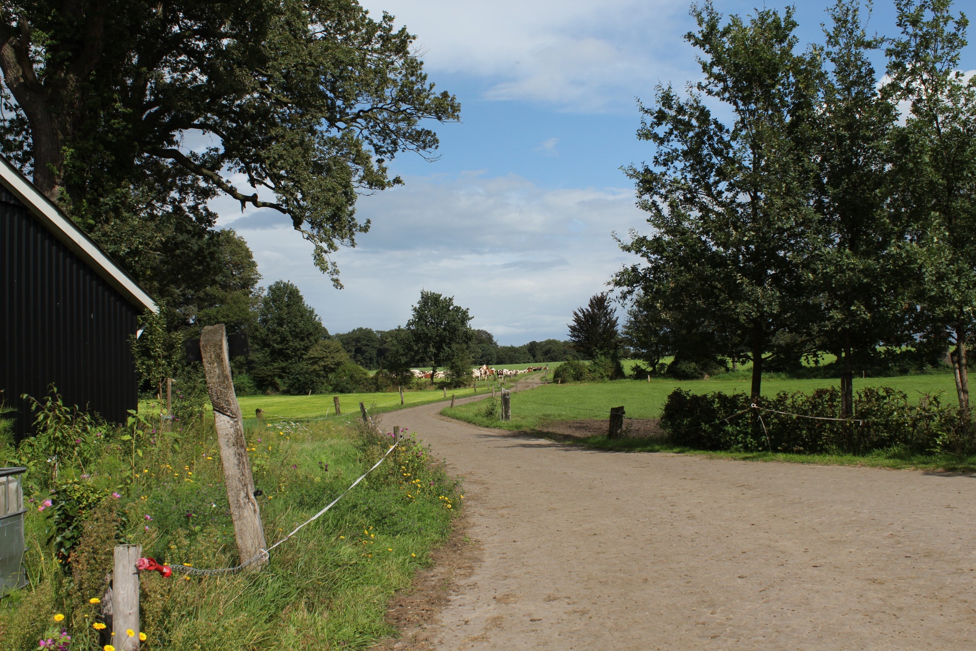 afbeelding binnen de regeling