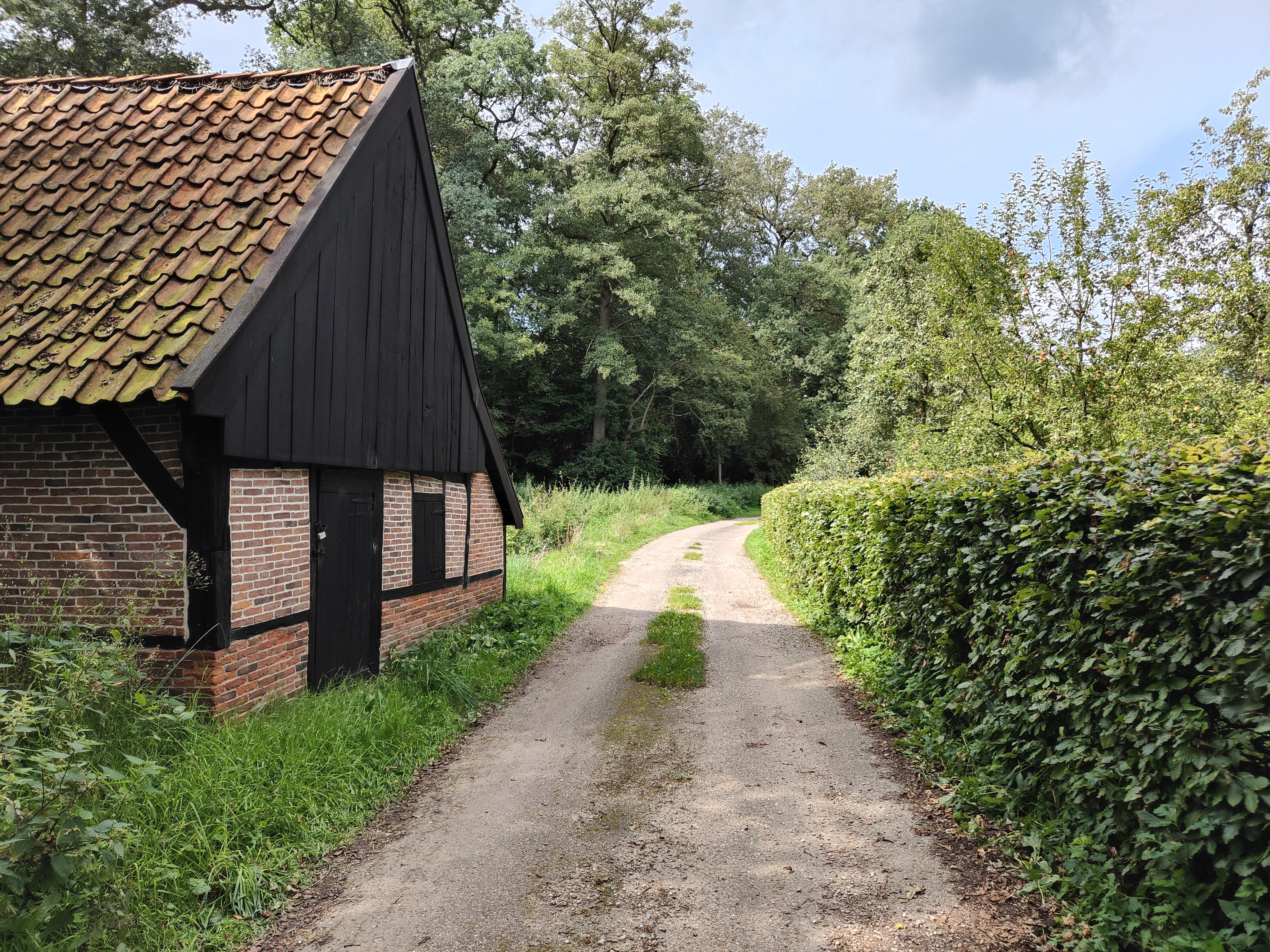 afbeelding binnen de regeling