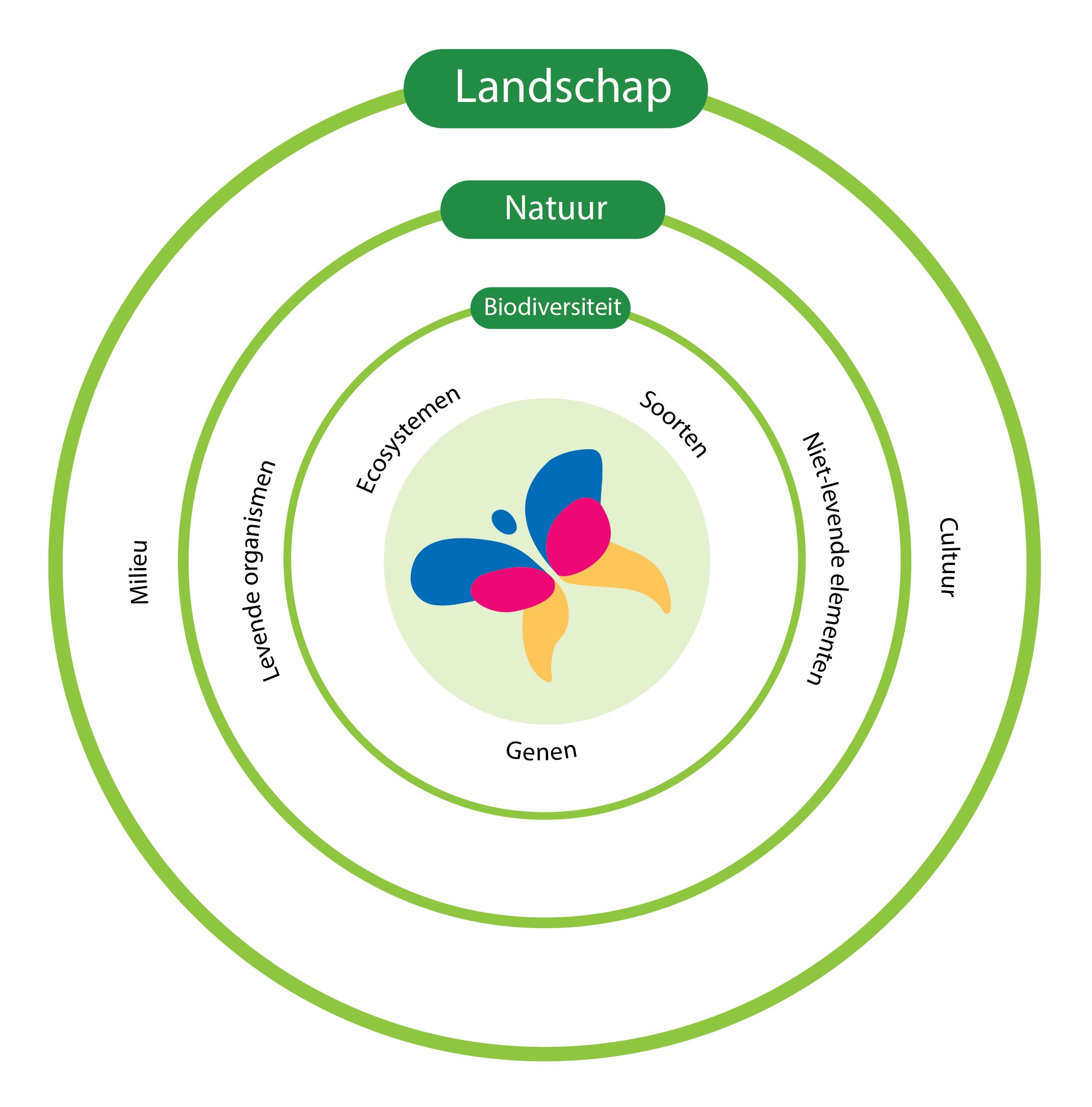 afbeelding binnen de regeling
