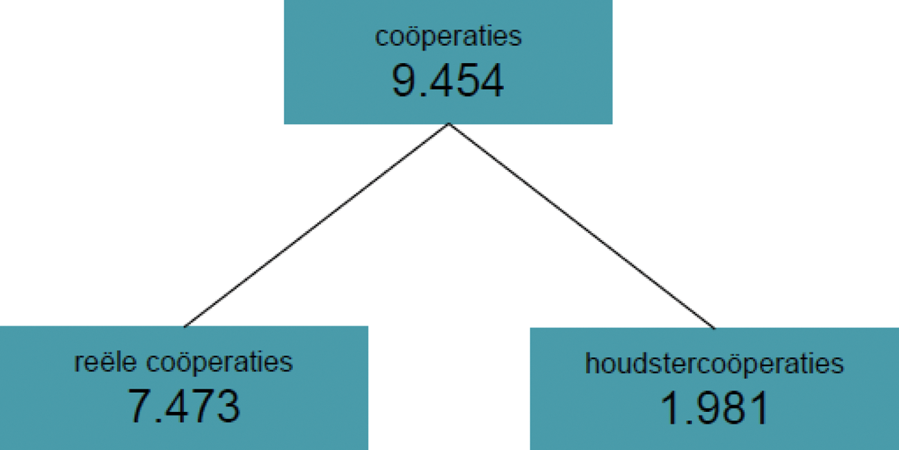 Figuur 3: Uitsplitsing aantal coöperaties