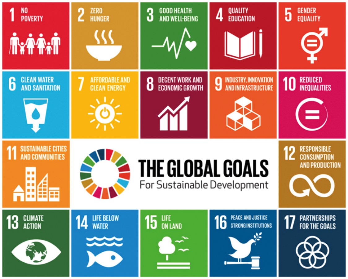 Figuur 2: de SDG’s op een rij