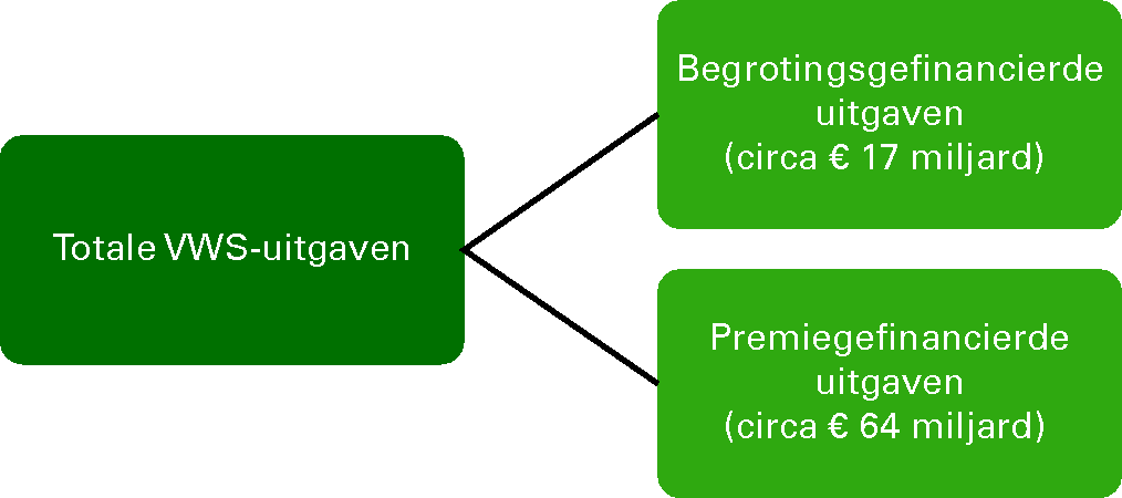 Overzicht 1: Uitgaven begroting VWS naar 				  financieringsbron