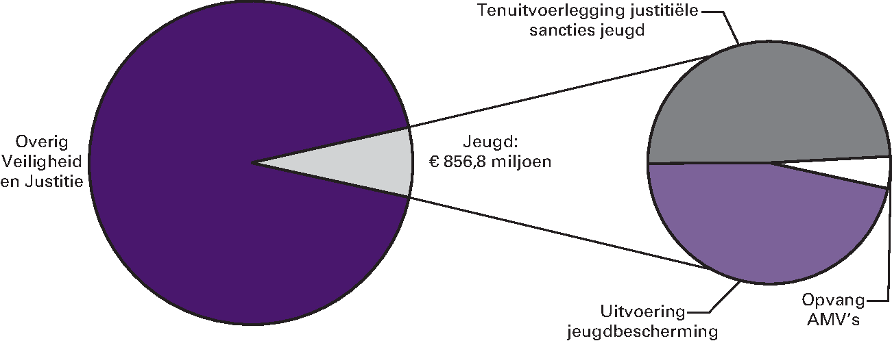 Realisatie begrotingsuitgaven  Veiligheid en Justitie € 11.467,3 miljoen art. 14 Jeugd 7,5 % 