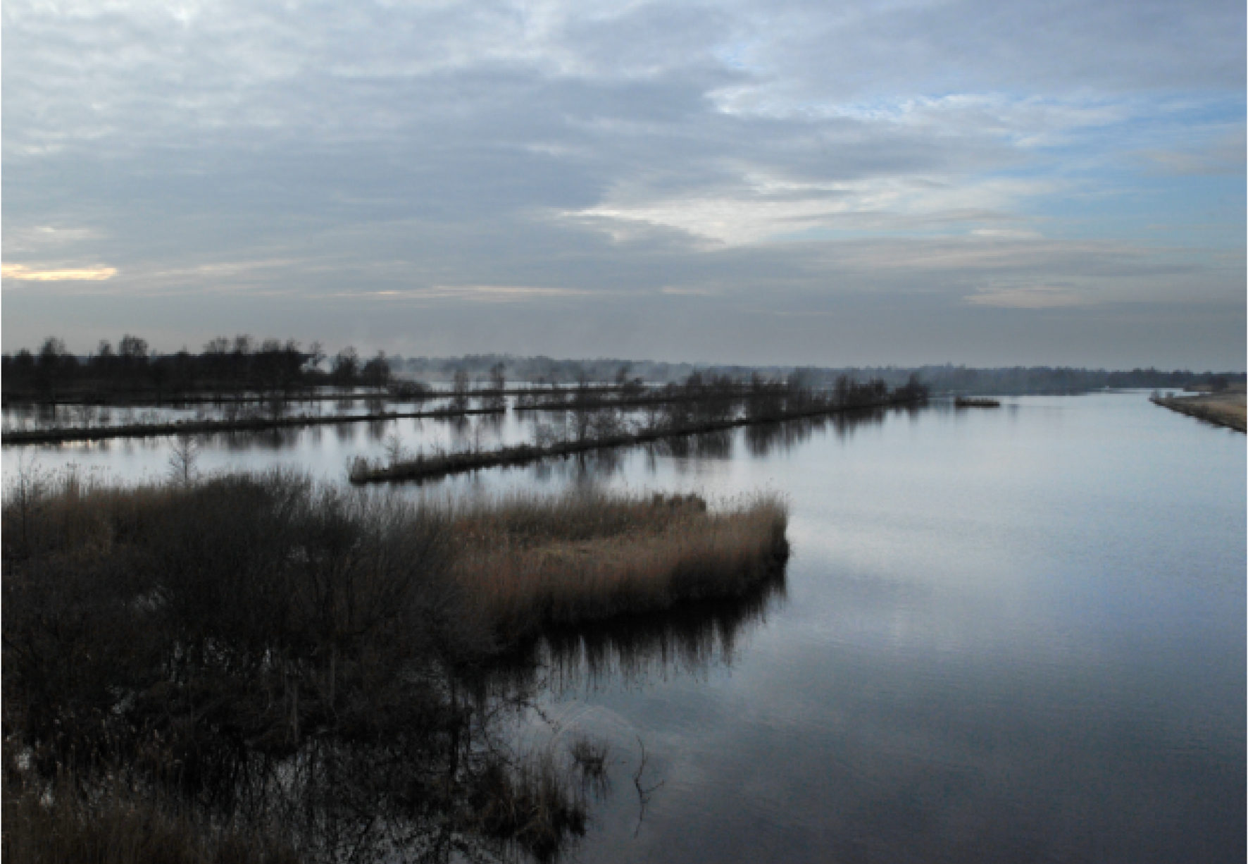 Uiterwaarden Nederrijn, foto Daan van Os