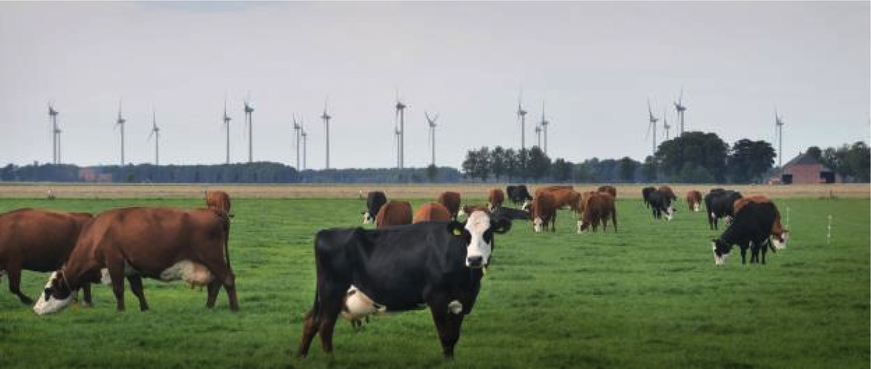 Windmolen-koepanorama, foto Beeldbank EZ