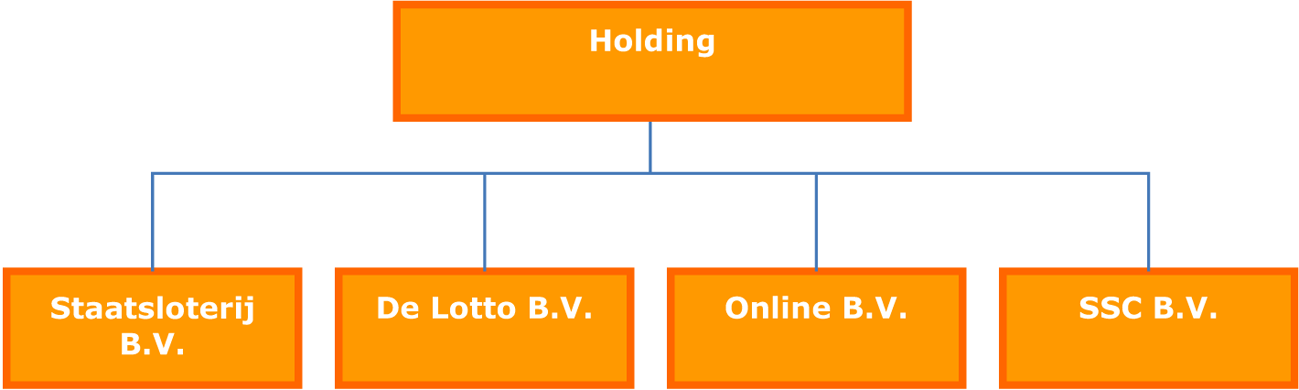 Figuur 1: Structuur van de Holding op hoofdlijnen
