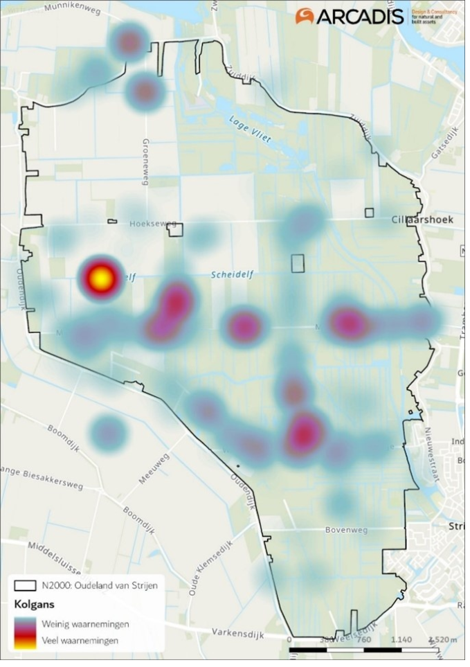 afbeelding binnen de regeling